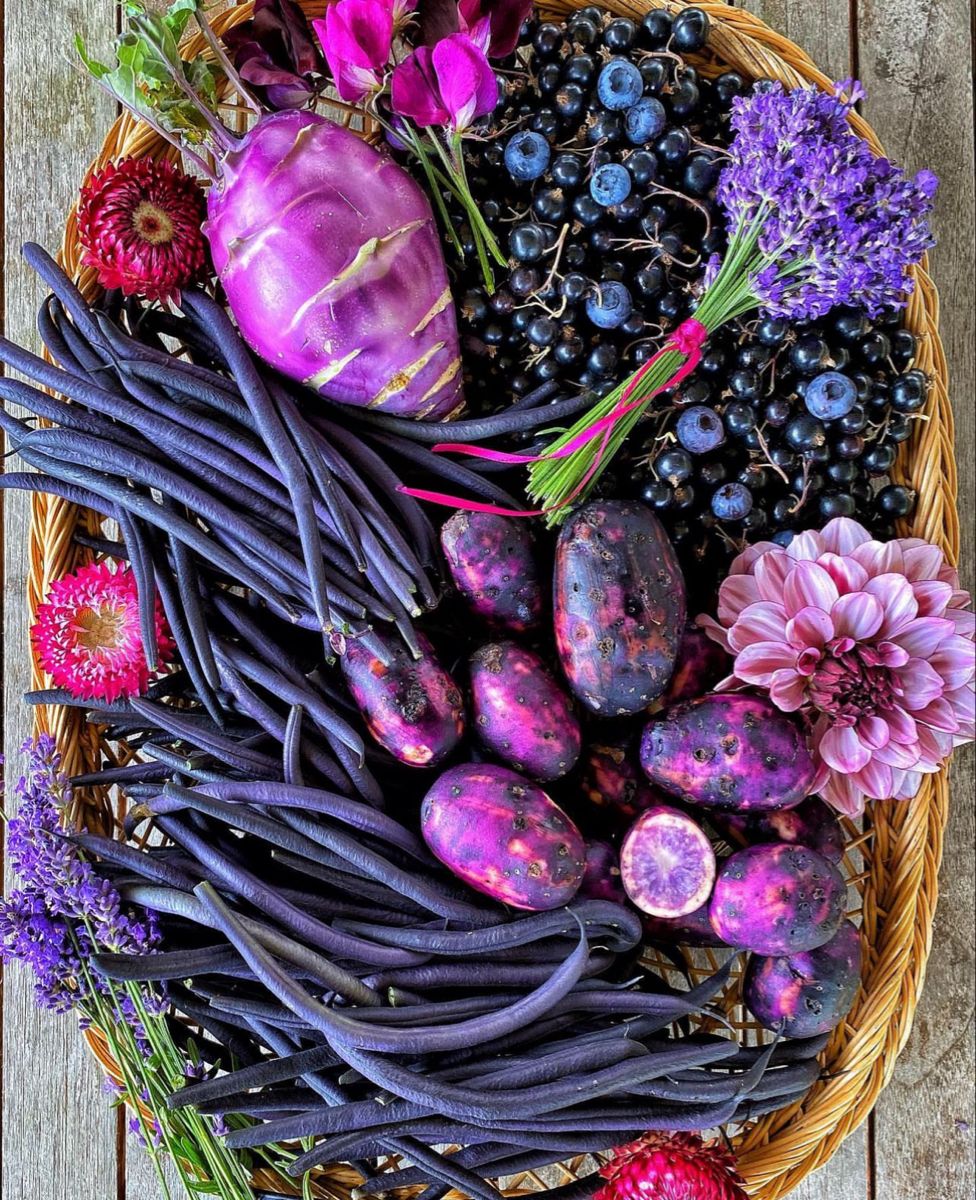 What’s Behind the Purple? The Surprising Benefits of Anthocyanins
