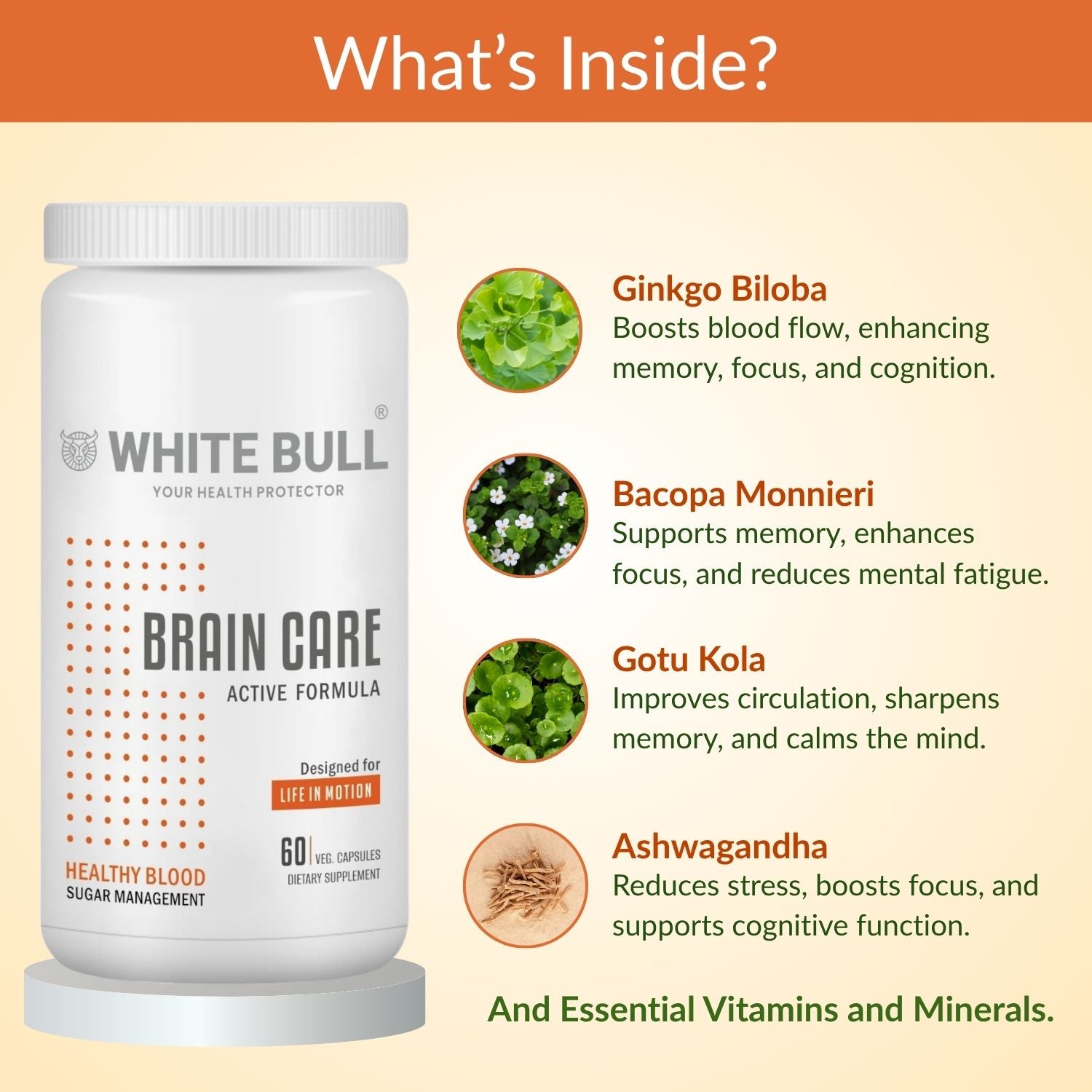 Brain Care | Herbal Brain Support Tablets for Memory Focus Cognitive Wellness With Ginkgo Biloba 1000mcg | Vegetarian Gluten & Paraben Free | 60 Capsules