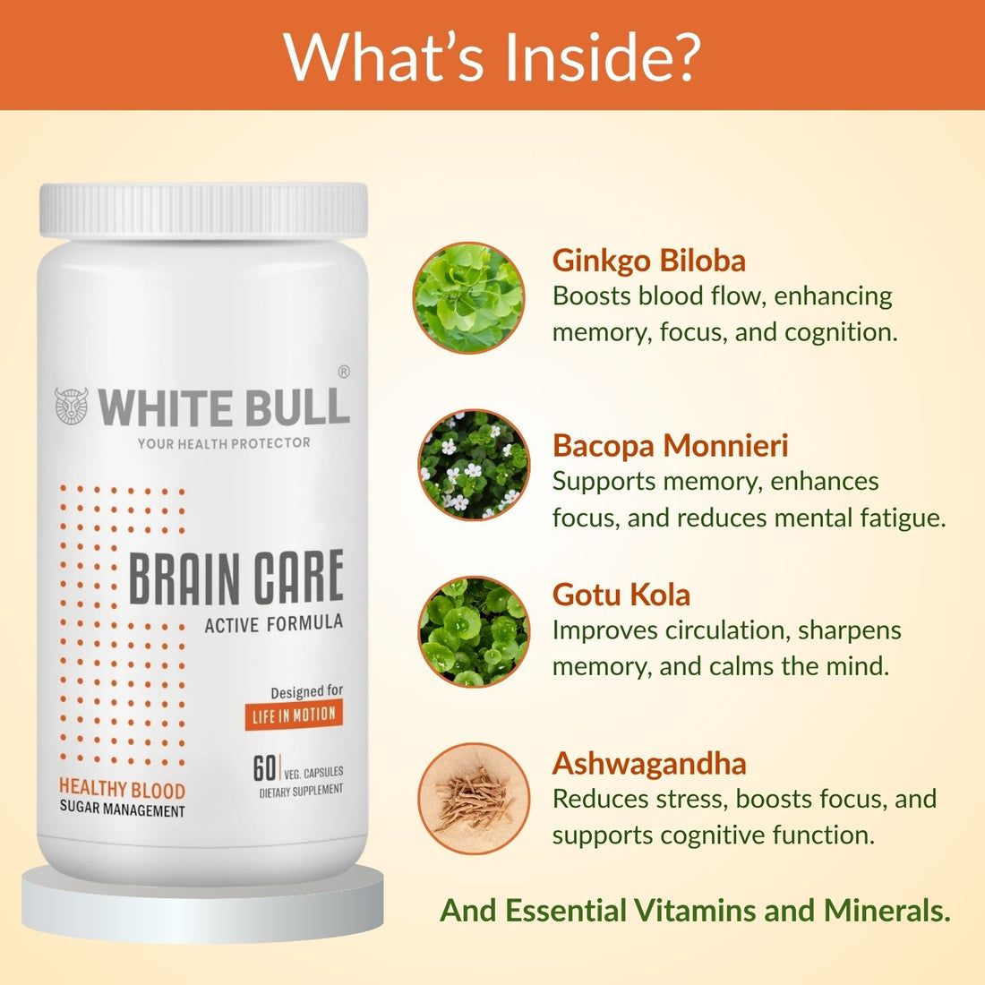 Brain Care | Herbal Brain Support Tablets for Memory Focus Cognitive Wellness With Ginkgo Biloba 1000mcg | Vegetarian Gluten & Paraben Free | 60 Capsules